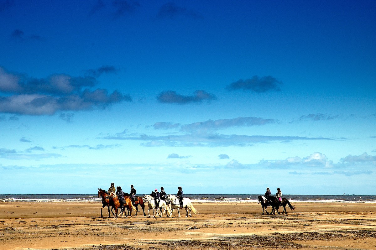 Beach riding on the wide open sands of Holy Island, Northumberland
