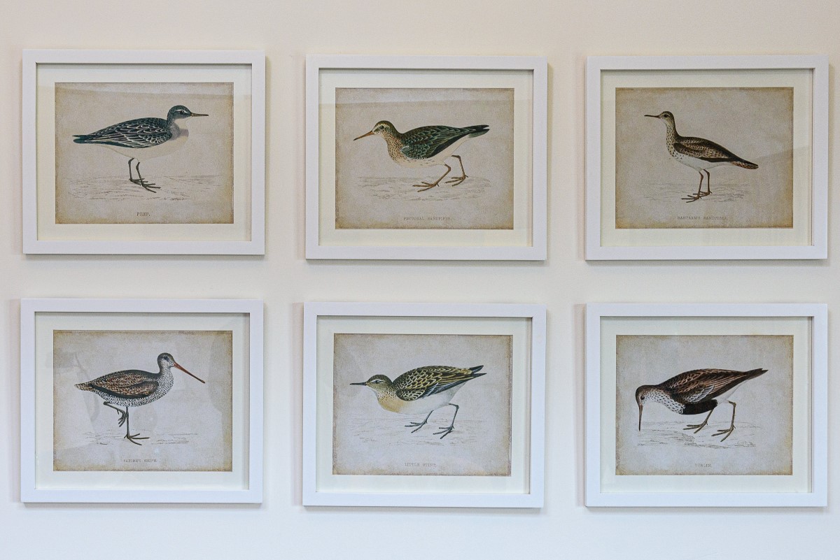 Fenton Lodge - framed bird prints