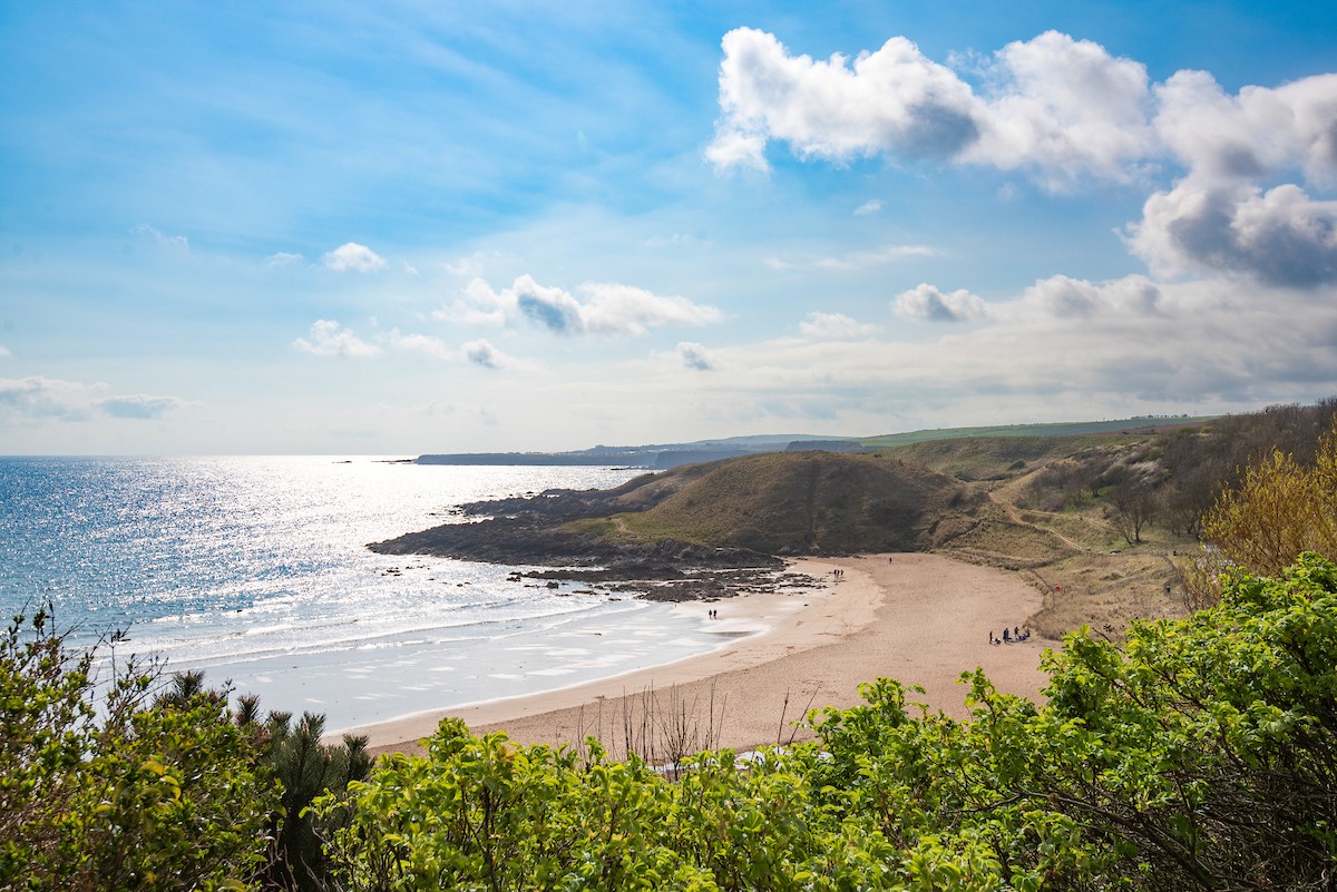 2 The Bay, Coldingham - the horseshoe-shaped sands of Coldingham Bay