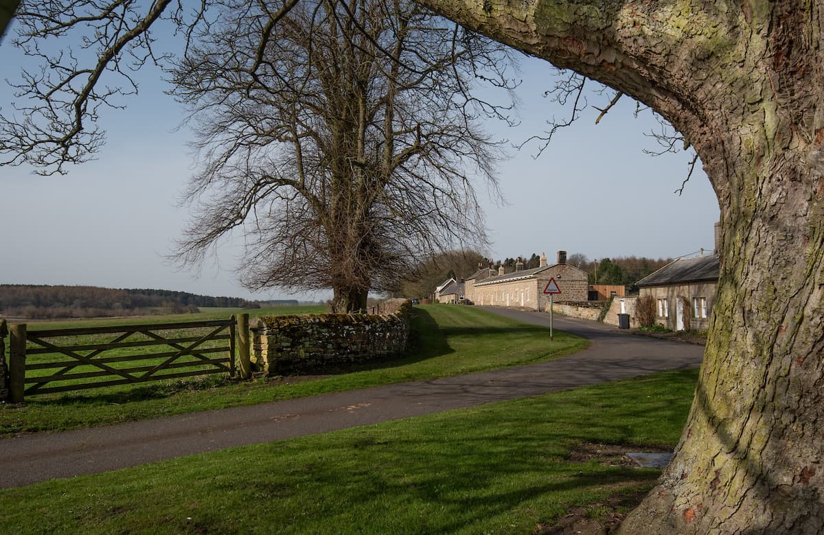 The School House, Capheaton - the charming village of Capheaton, surrounded by rolling fields