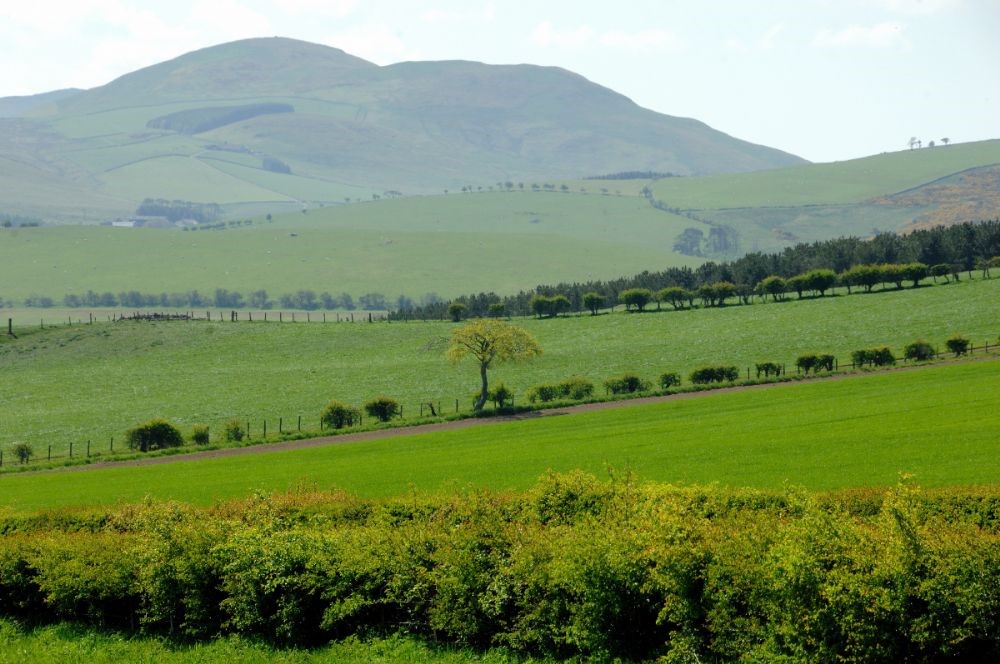 Barley Hill Cottage - the stunning Northumbrian countryside and farmland