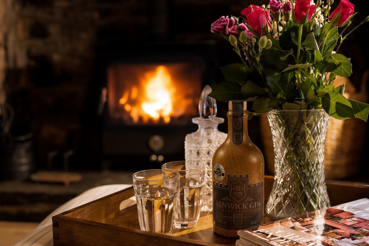 Appletree Cottage - enjoy the warmth of a wood burner with a wee dram