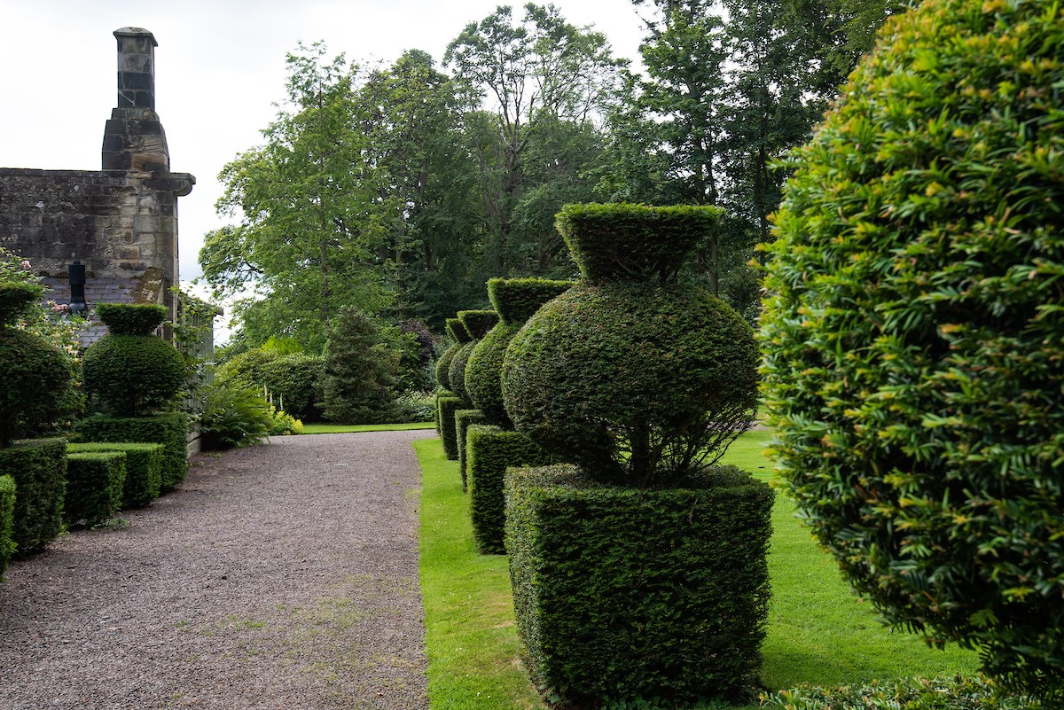 Stable Cottage, Glanton Pyke - artistically sculpted hedges in Glanton Pyke garden