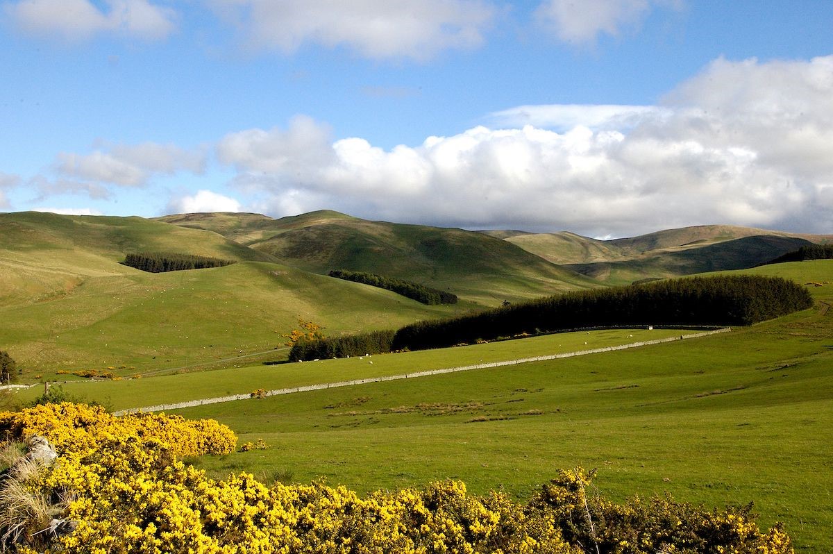 Chestnut Cottage - rolling hills of the Scottish Borders