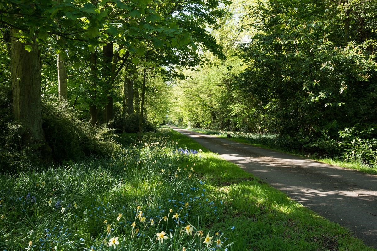 Daffodil Cottage - private estate driveway