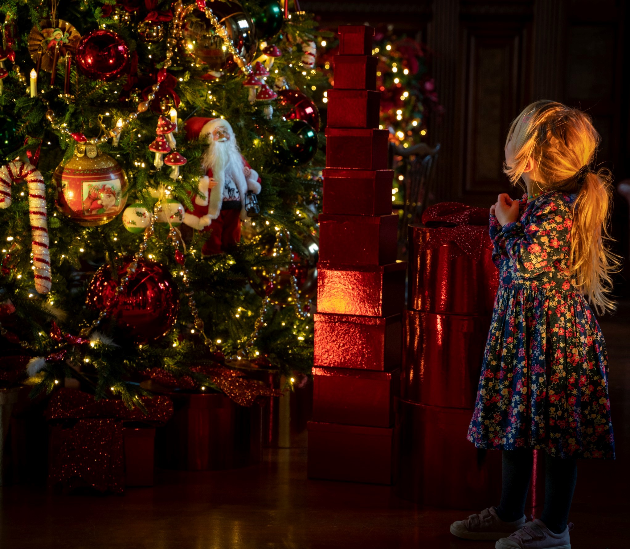 Discover our pick of the best Christmas events