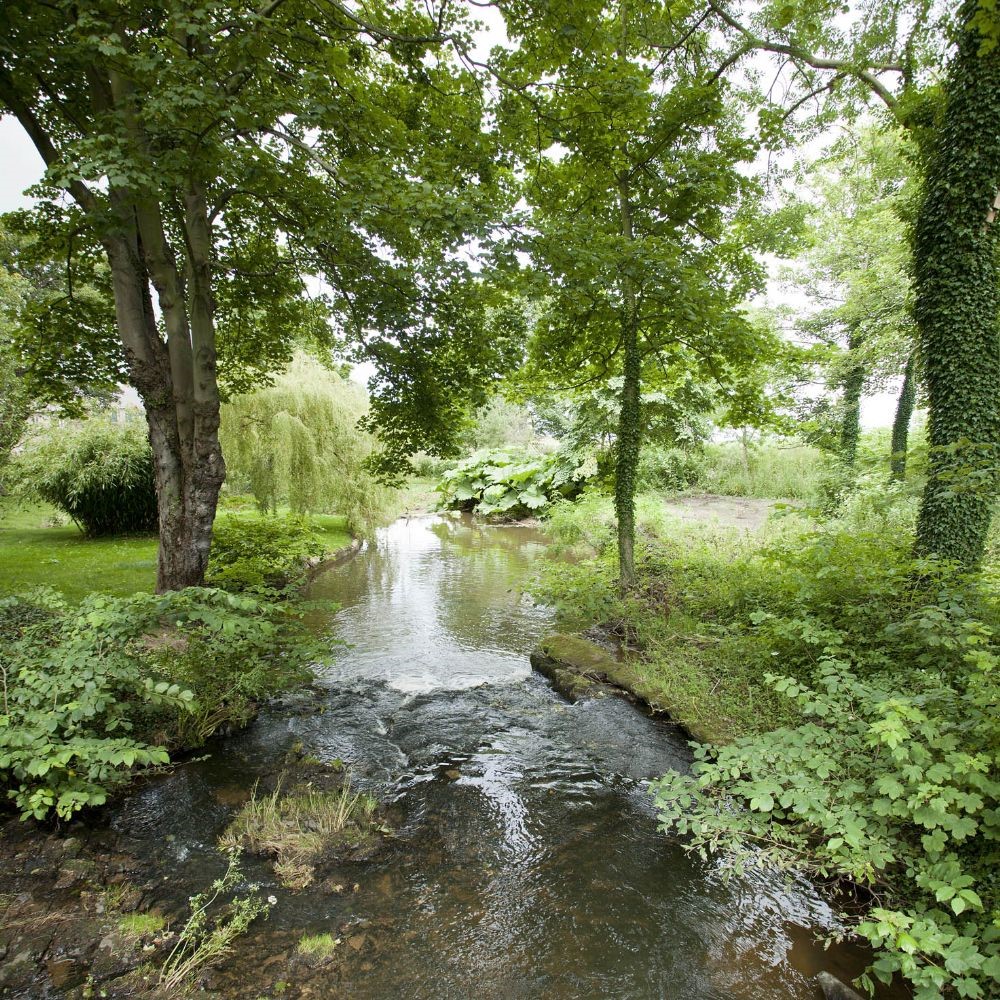 Mill Race - surrounding countryside
