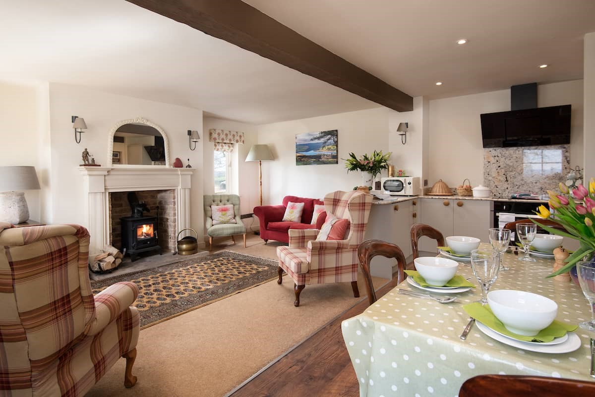 Anvil Cottage - open-plan living room and kitchen with dining space and wood burning stove
