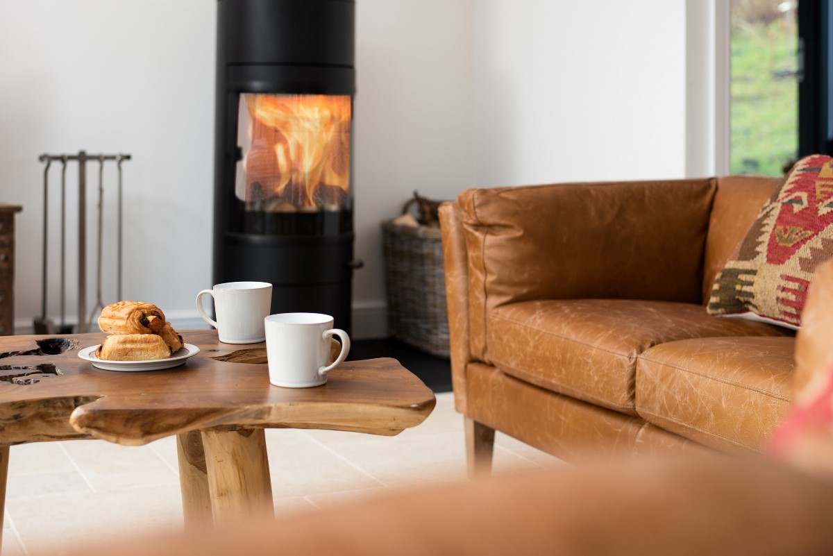 The Oak - modern wood burning stove with initial supply of logs provided