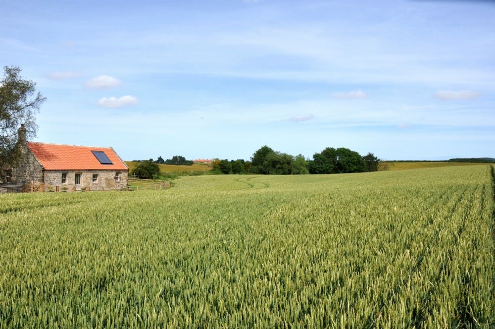 The Smithy, Crookham - front aspect & surrounding farmland