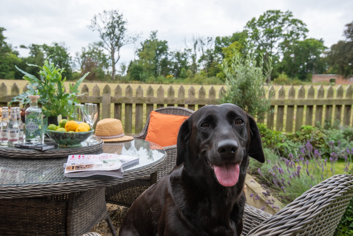 Blakey House - pets will also enjoy their stay at the property