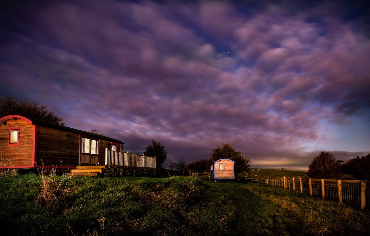 Foxglove - for cosy winter stays and dramatic skies