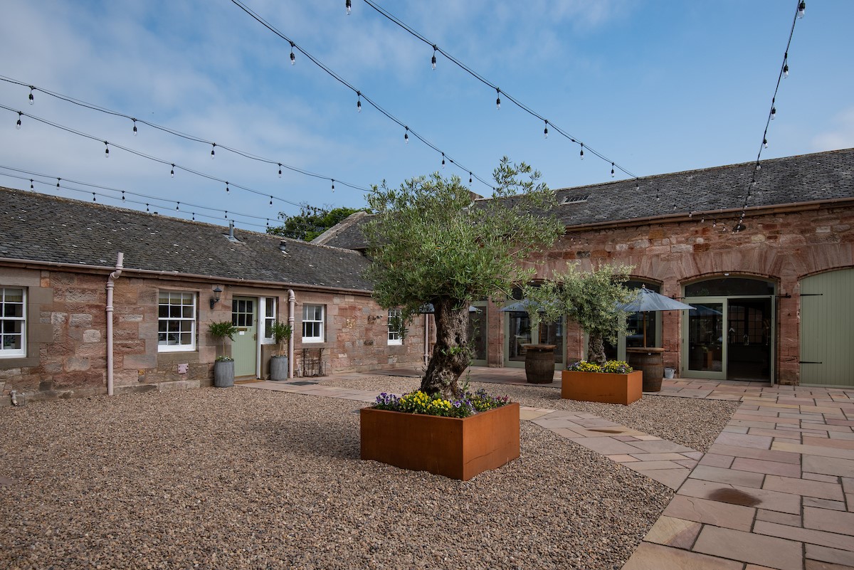 Willow Cottage - festoon lighting hang above the courtyard to the front