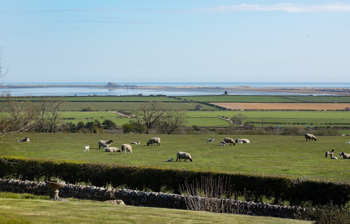 Lindisfarne View - the fantastic view from the property over rolling farmland to the Holy Island of Lindisfarne