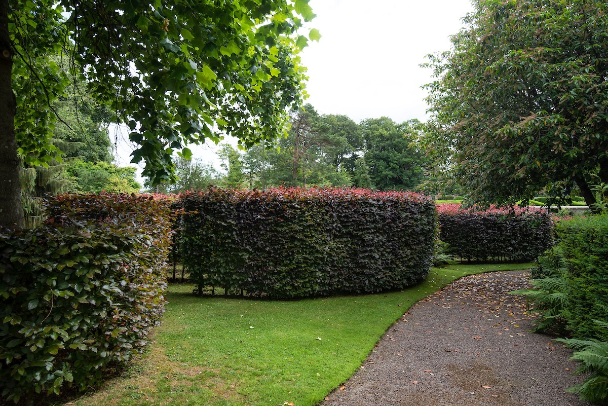Stable Cottage, Glanton Pyke - the beach hedge maze can be found in Glanton Pyke's garden