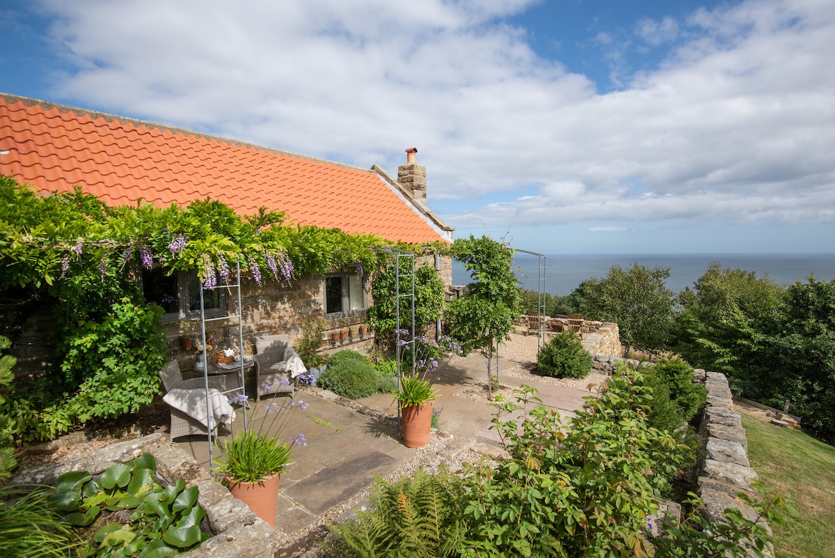 Bay View Cottage - the stunning wisteria terrace overlooking the sea