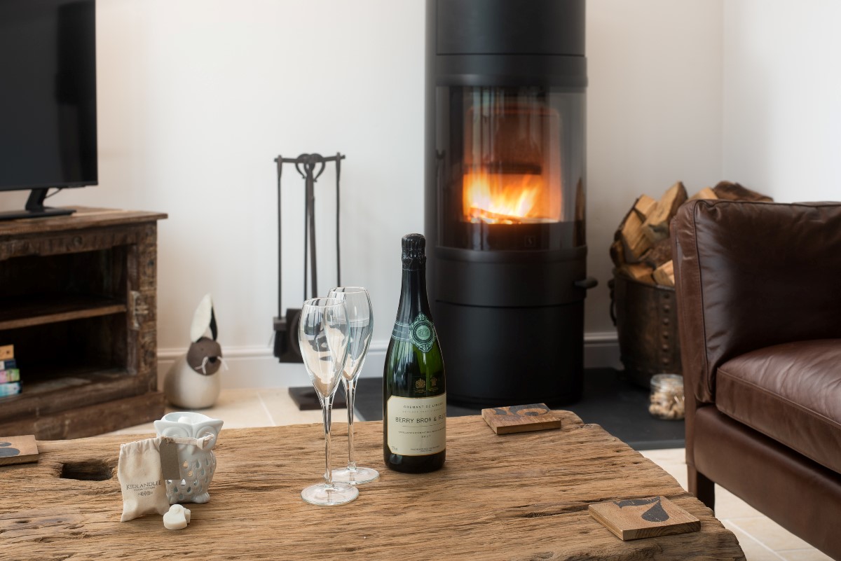 The Maple - modern wood burning stove with initial supply of logs provided