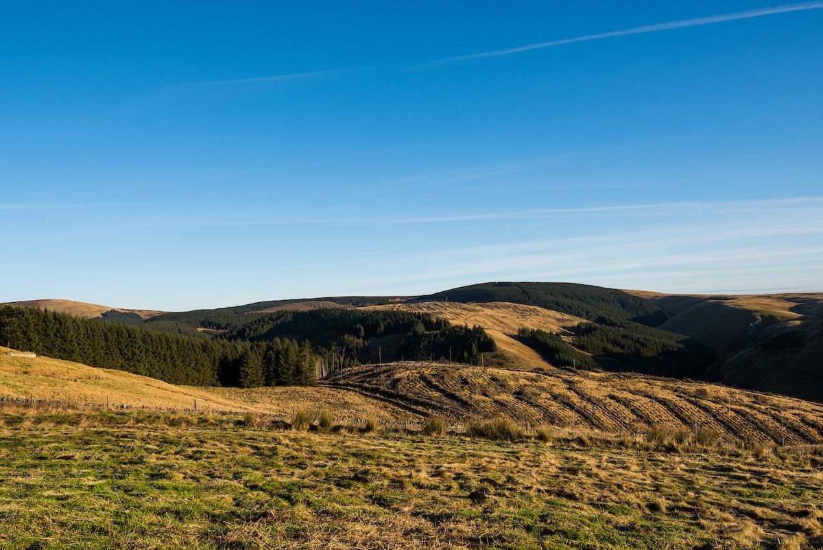 Kidlandlee - view of surrounding Northumberland National Park
