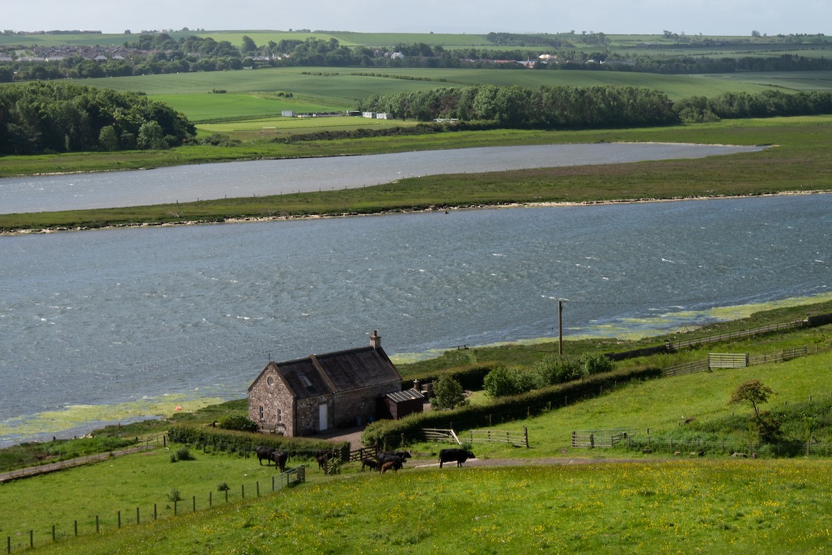 Whitesand Shiel - the property sitting on the banks of the River Tweed