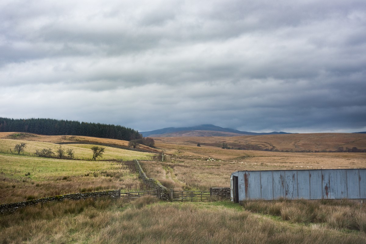 The Bothy at Redheugh - far-reaching views over the raw natural beauty of Upper Liddesdale