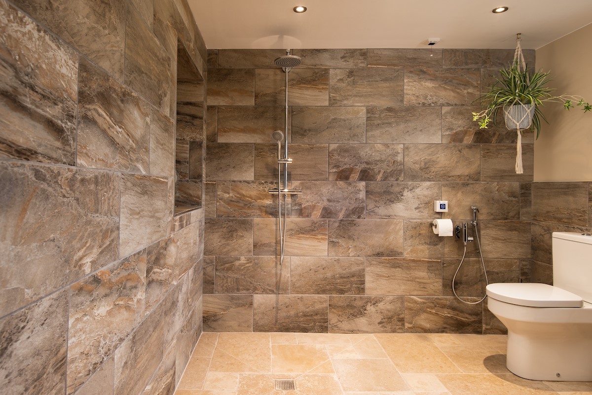 Goose Cottage - large, ground floor wetroom featuring a rainforest shower with separate mixer