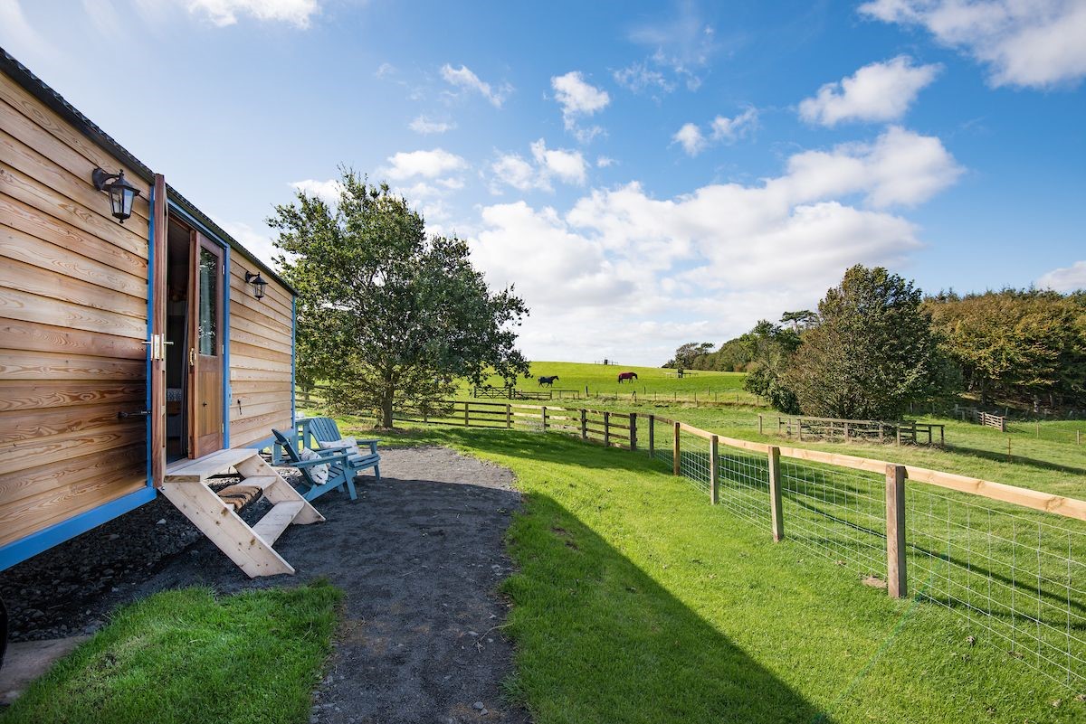 Cow Parsley - the shepherd's hut is set in a shared paddock with two other huts
