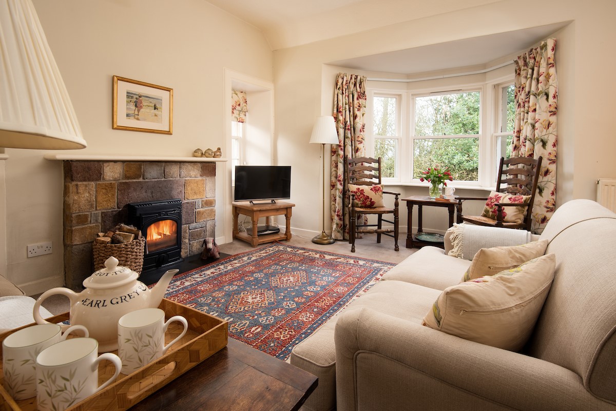 Daffodil Cottage - enjoy a cup of tea by the roaring wood burning stove