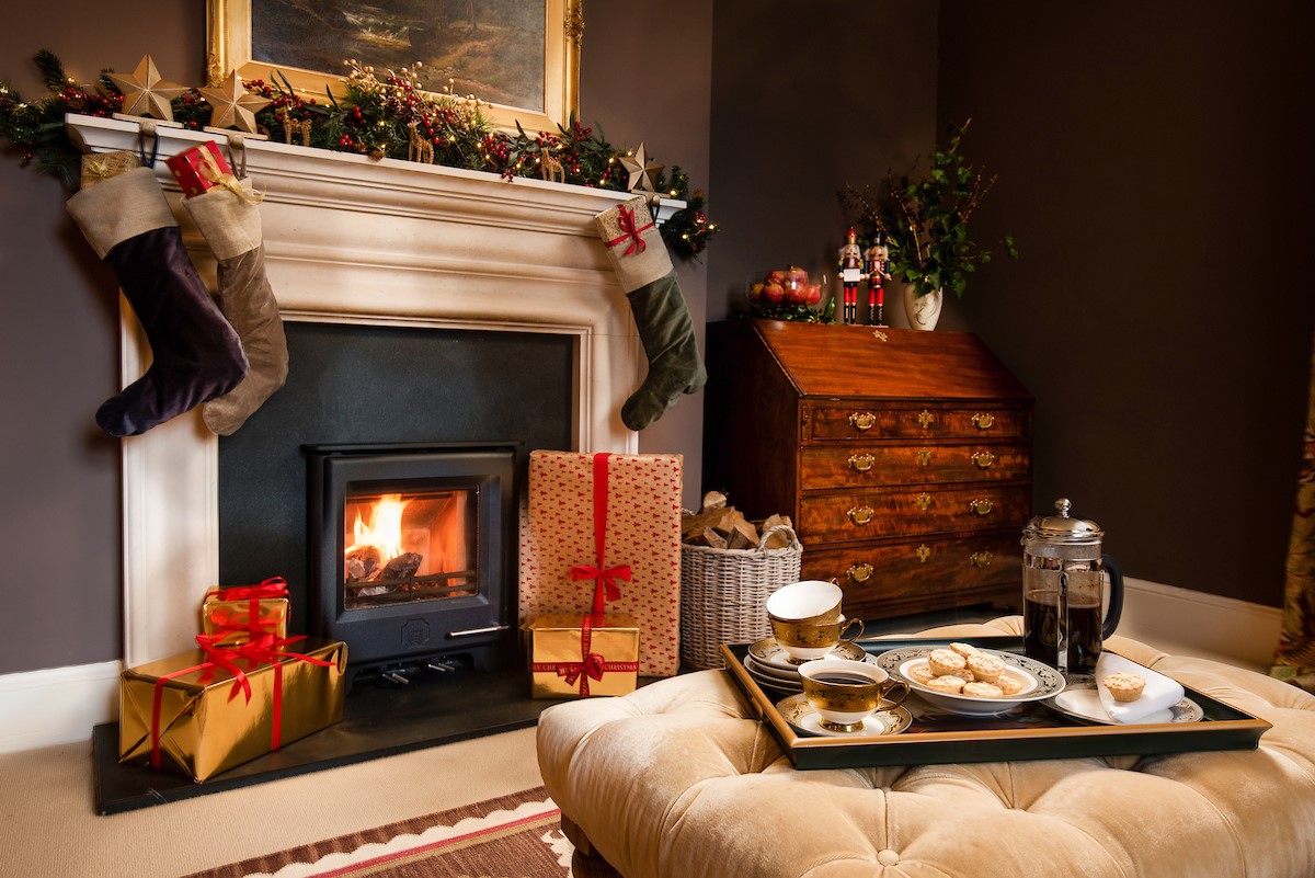 Broadgate House - keep warm by the wood burner and enjoy a mince pie or two