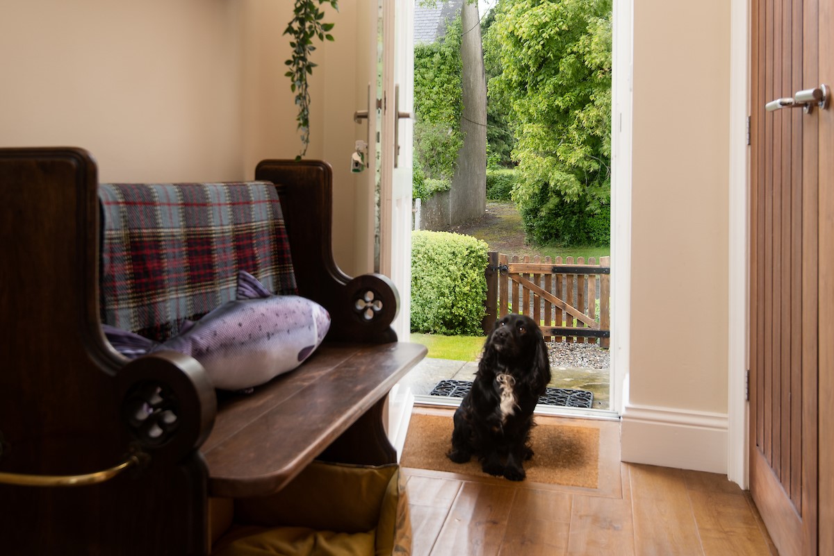 Pentland Cottage - a four-legged friend waiting patiently by the door