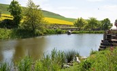 West Moneylaws - the charming duck pond near the cottage