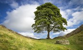 Hadrian's Wall and Sycamore Gap - a popular photograph subject