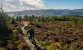 Copyright VisitScotland - David N Anderson - Cycling At Glentress