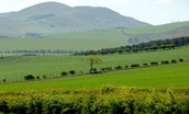 Barley Hill Cottage - the stunning Northumbrian countryside and farmland