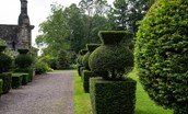 Stable Cottage, Glanton Pyke - artistically sculpted hedges in Glanton Pyke garden