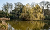 North Dalton - village duck pond
