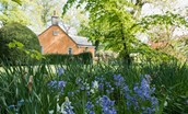 Daffodil Cottage - surrounding estate grounds with bluebells