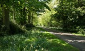 Daffodil Cottage - private estate driveway