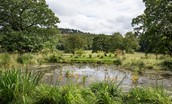 Lorbottle Hall - pond