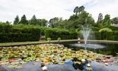 Stable Cottage, Glanton Pyke - a tranquil lily pond featured in Glanton Pyke garden which guests can access