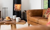 The Oak - modern wood burning stove with initial supply of logs provided