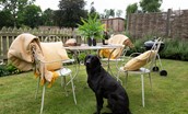 Bel House - four-legged friends are welcome to join you at the property