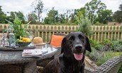 Blakey House - pets will also enjoy their stay at the property