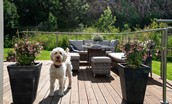 Mallow Lodge - outside seating area with dog