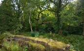 Brinkburn Estate - discover magical and historical areas of the surrounding estate