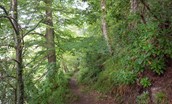 Brinkburn Estate - enchanting walks through the woods and down to the river