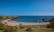3 The Bay, Coldingham - the golden sands at Coldingham Bay - an ideal spot for families