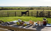 Bee Cottage - the spacious lawned garden benefits from splendid views towards the Holy Island of Lindisfarne