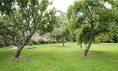 Lorbottle Hall  - orchard