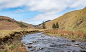 Tutor's Lodge - enjoy a peaceful and tranquil walk by the River Coquet