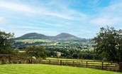 The Sheep Fold - enjoy undisturbed views towards the Eildon Hills